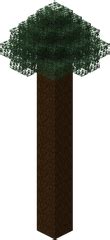 mega spruce tree minecraft|mega pine trees minecraft.